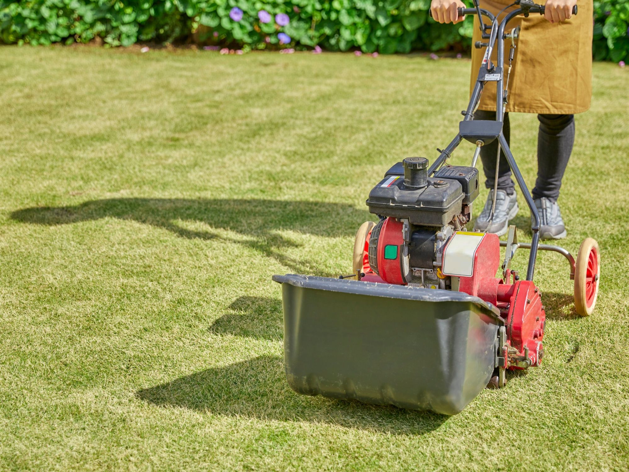 Aeration & Overseeding